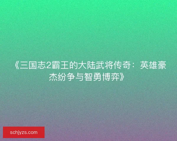 《三国志2霸王的大陆武将传奇：英雄豪杰纷争与智勇博弈》