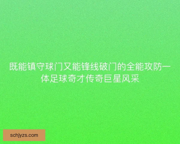 既能镇守球门又能锋线破门的全能攻防一体足球奇才传奇巨星风采 既能镇守球门又能锋线破门的全能攻防一体足球奇才传奇巨星风采